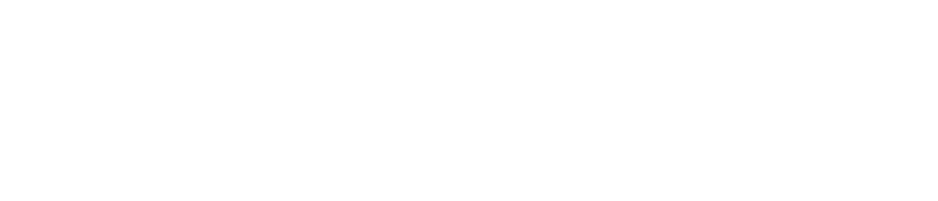 Dream Fusion